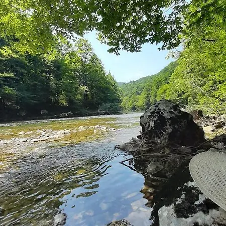 Kuca Za Odmor Forest Dream U Blizini Rijeke Kupe Brvnara