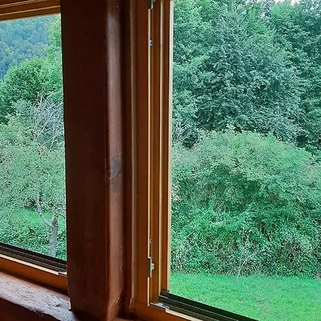 Kuca Za Odmor Forest Dream U Blizini Rijeke Kupe Brvnara Plesce