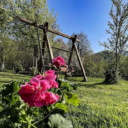 Chalet Kuca Za Odmor Forest Dream U Blizini Rijeke Kupe