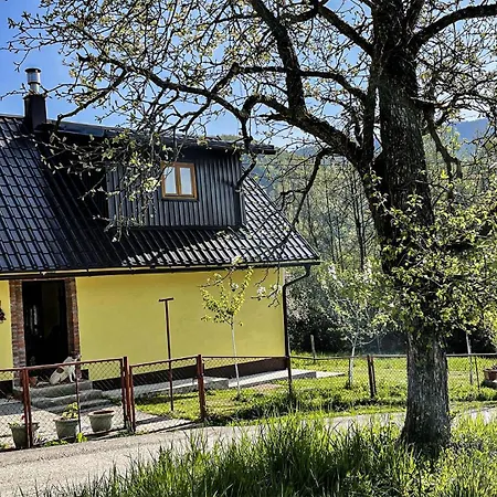 Brvnara Kuca Za Odmor Forest Dream U Blizini Rijeke Kupe Plesce