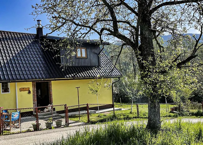 Alpehytte Kuca Za Odmor Forest Dream U Blizini Rijeke Kupe Plesce